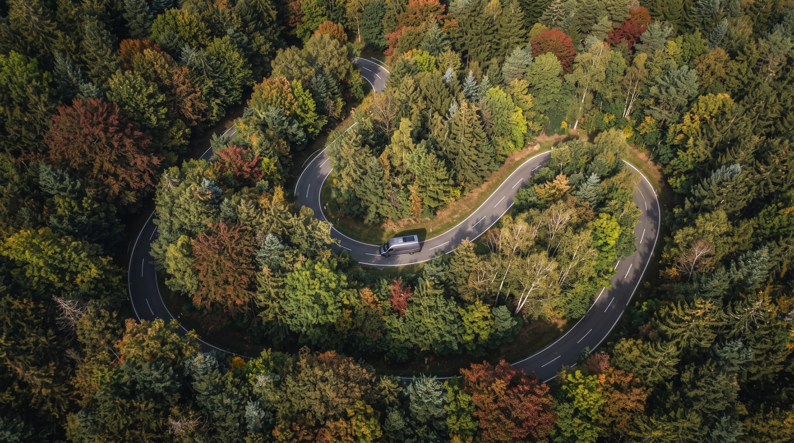 Road winding through a European forest